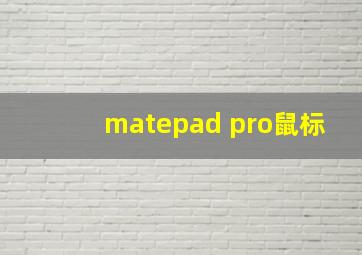 matepad pro鼠标